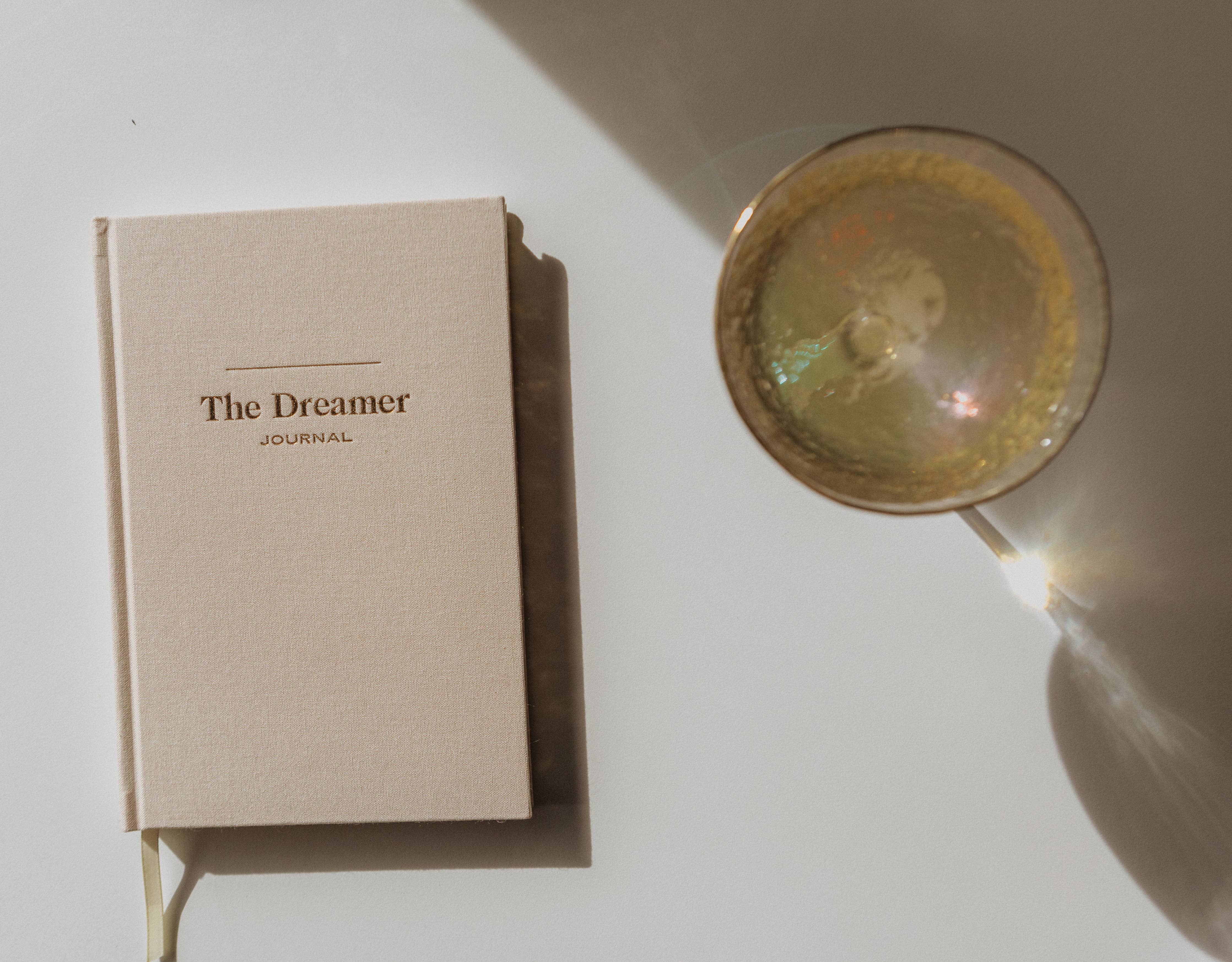 Dream Daily - The Dreamer Journal